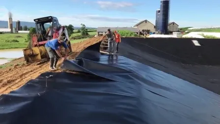 Waterproof Shrimp Tank Liner/0.5mm HDPE Geomembrane/Water Pond Liner HDPE Geomembrane