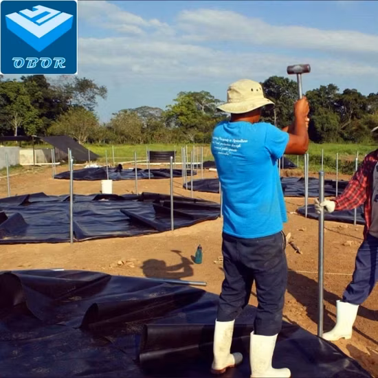 Forro impermeável do tanque de camarão/Geomembrana HDPE de 0,5mm/Geomembrana HDPE para lago de água