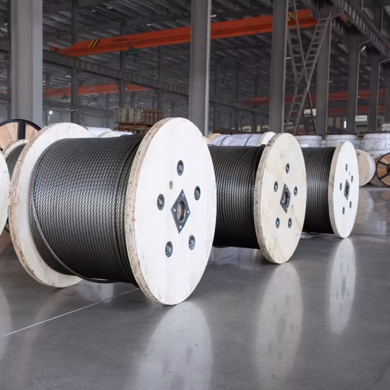 1X7/1X19/7X7/7X19/6X7+FC/6X19+FC SUS304/SUS316 Industrial/ Automotivo/Construção/Comunicação ou Dispositivo Médico Use Cabo de Aço